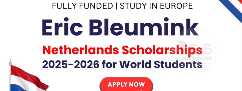 The Opportunity Here