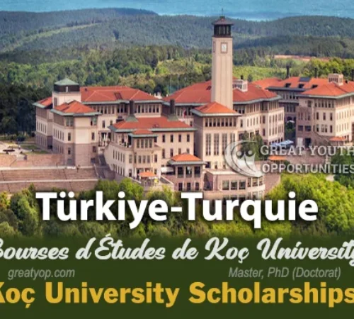 The Opportunity Here