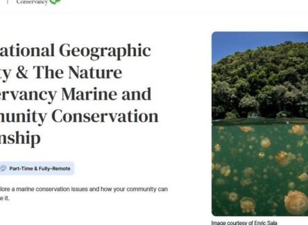 The Opportunity Here