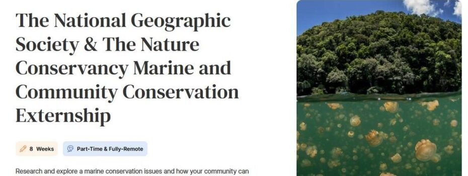 The Opportunity Here