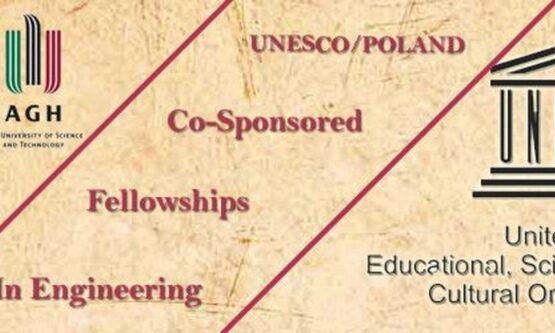 The Opportunity Here