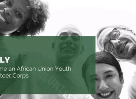 The Opportunity Here