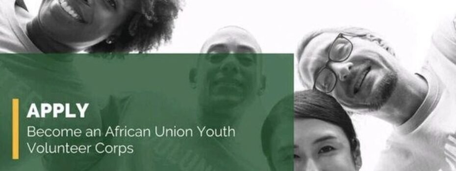 The Opportunity Here