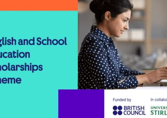 The Opportunity Here