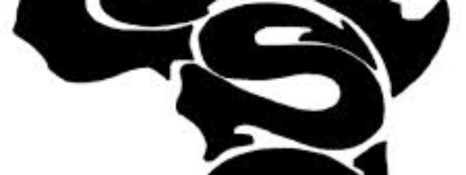 The Opportunity Here