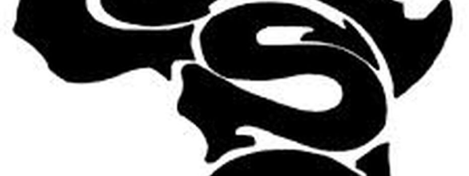 The Opportunity Here