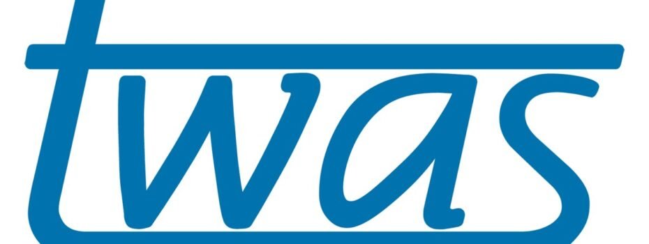 The Opportunity Here