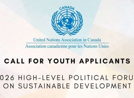 The Opportunity Here