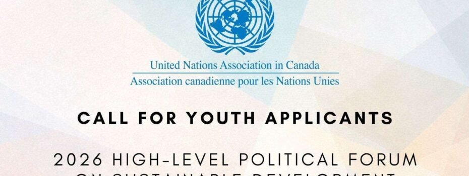 The Opportunity Here