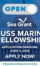 The Opportunity Here