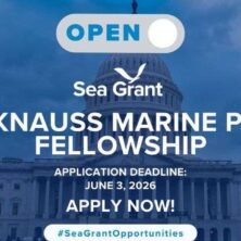 The Opportunity Here