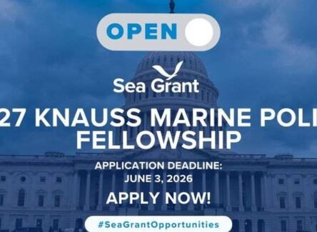 The Opportunity Here