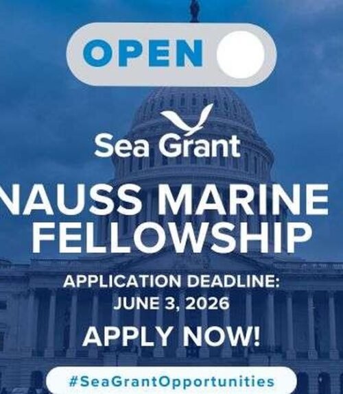 The Opportunity Here