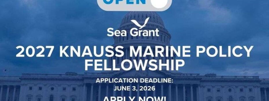 The Opportunity Here