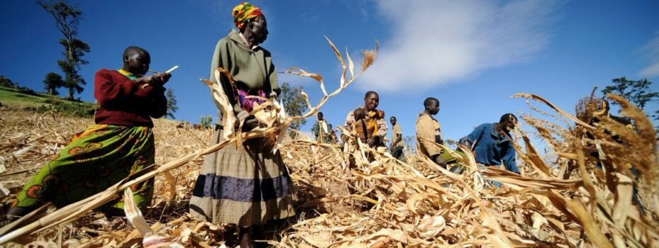 The Opportunity Here