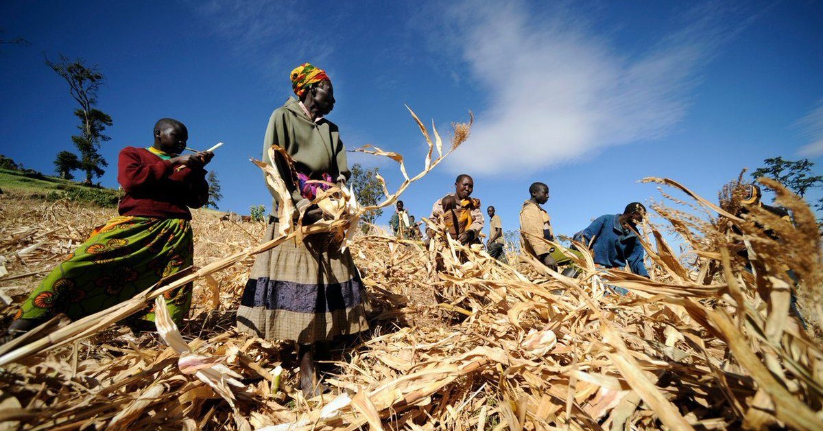 2026 WFP IGNITE Food Challenge