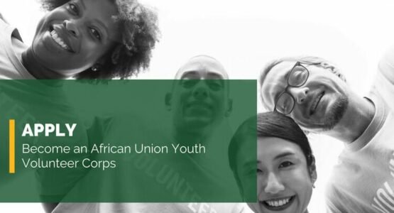 The Opportunity Here