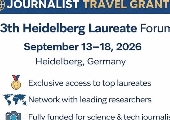 The Opportunity Here