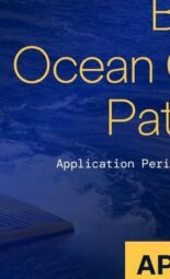 The Opportunity Here