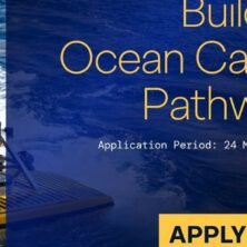 The Opportunity Here