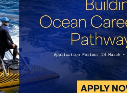 The Opportunity Here