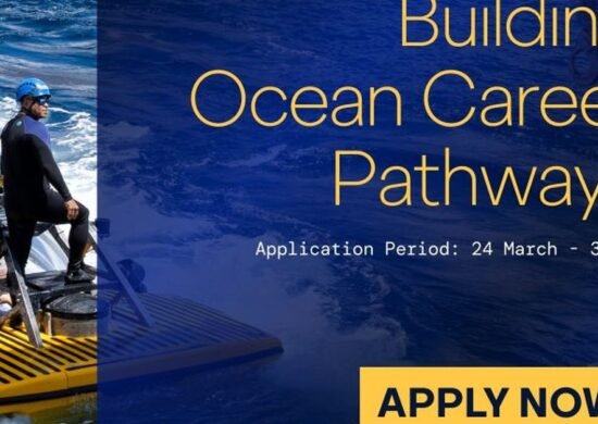 The Opportunity Here