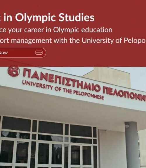 The Opportunity Here