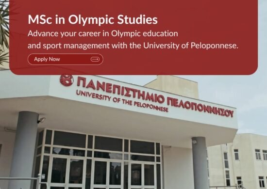 The Opportunity Here