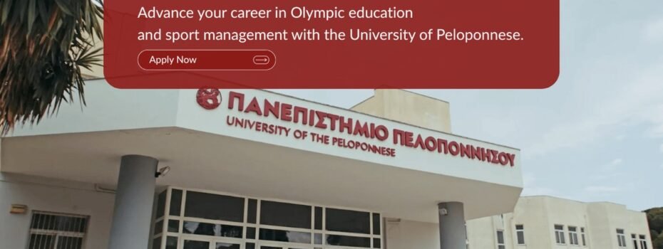 The Opportunity Here