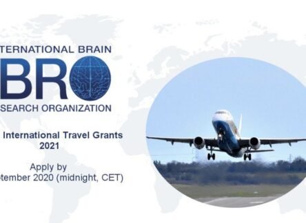 The Opportunity Here