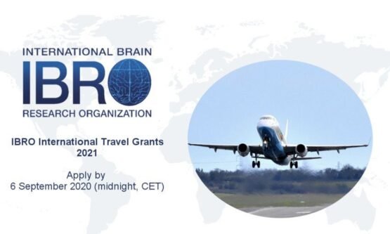 The Opportunity Here