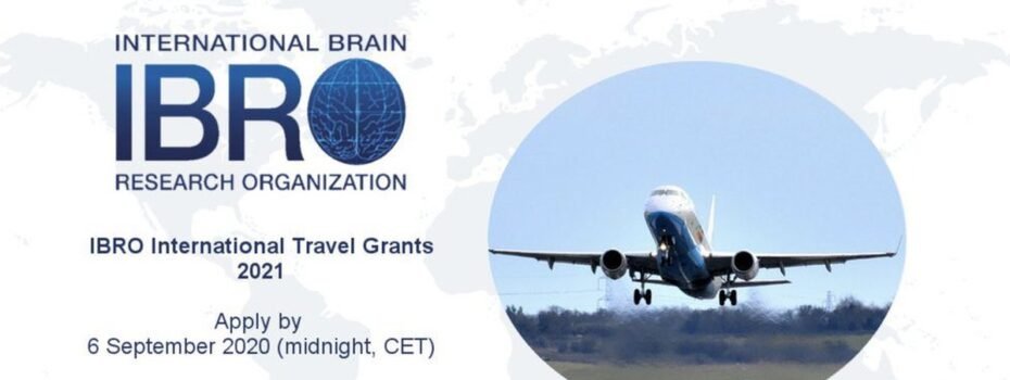 The Opportunity Here