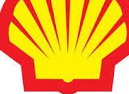 The Opportunity Here