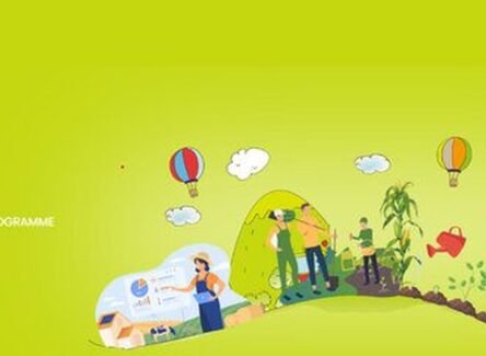 The Opportunity Here