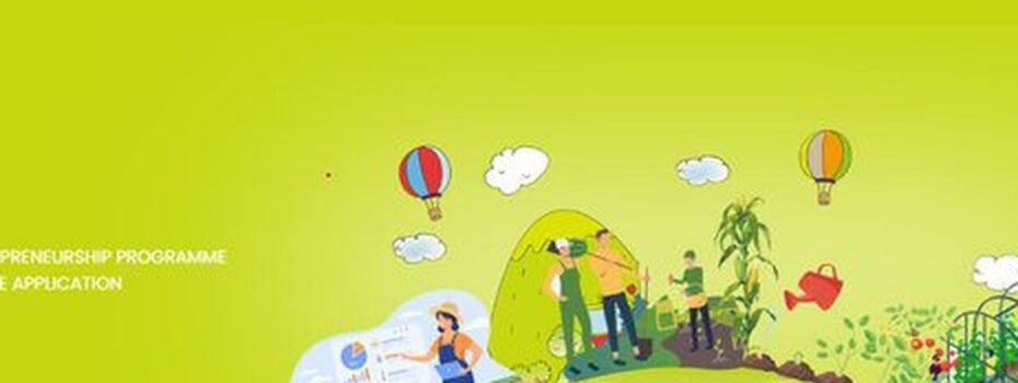 The Opportunity Here