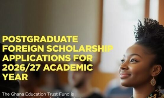 The Opportunity Here