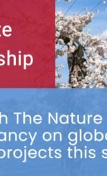 The Opportunity Here