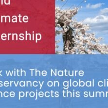 The Opportunity Here