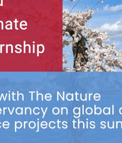 The Opportunity Here