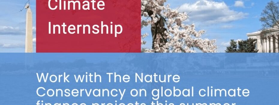 The Opportunity Here