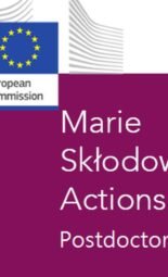 The Opportunity Here