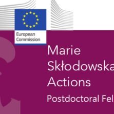 The Opportunity Here