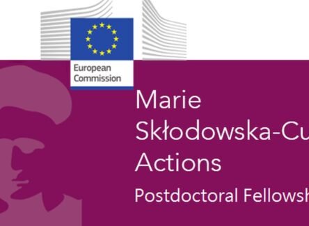 The Opportunity Here