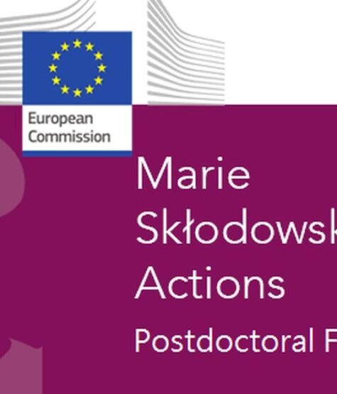 The Opportunity Here