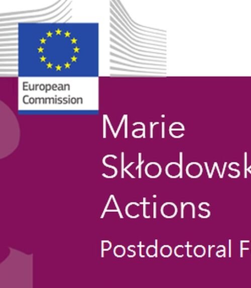 The Opportunity Here