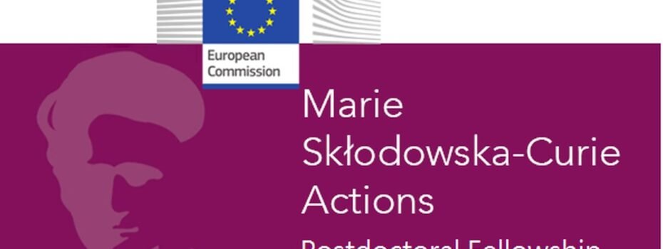 The Opportunity Here