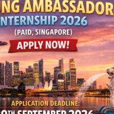 The Opportunity Here