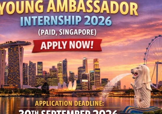 The Opportunity Here