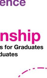 The Opportunity Here