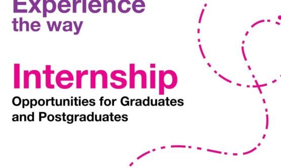 The Opportunity Here